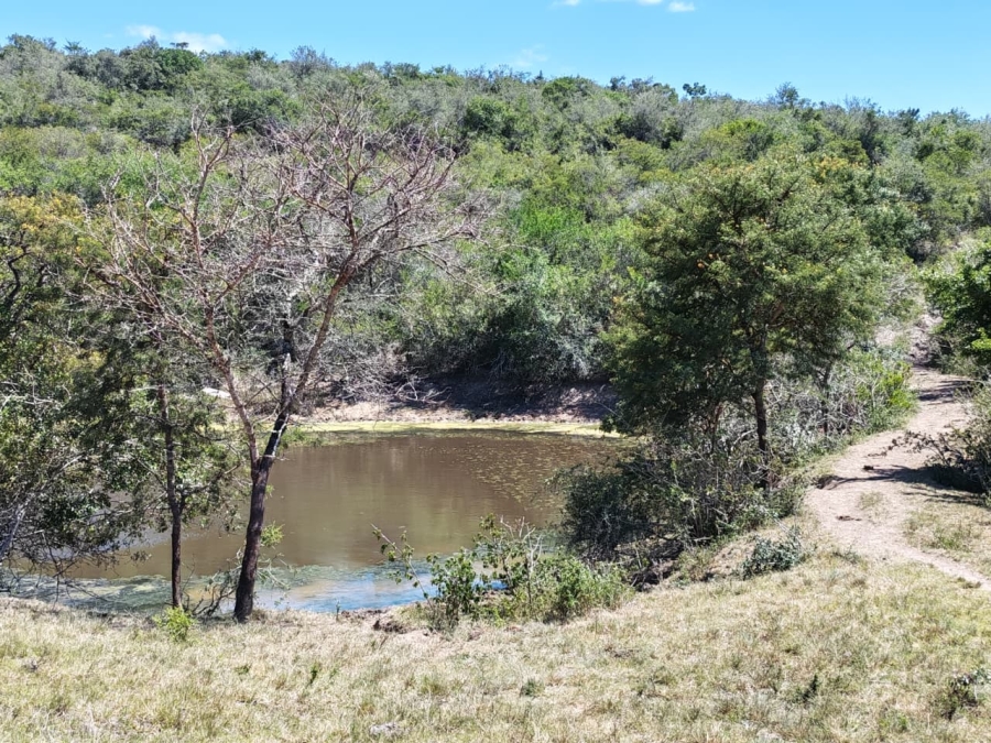 Commercial Property for Sale in Komga Rural Eastern Cape